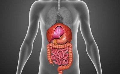 重庆中医肿瘤医师:结肠瘤患者哪些食物要注意?中医又是如何调理的