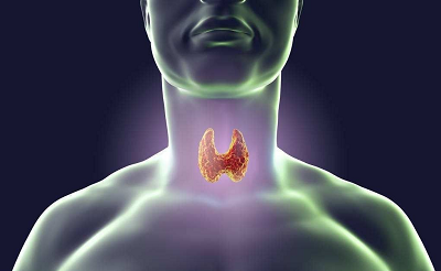 重庆肿瘤科医馆|引起甲状腺癌的原因终于找到了