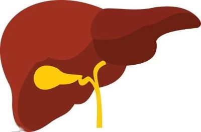 你知道多少胆囊癌的危险因素?听听重庆中医肿瘤医师怎么说