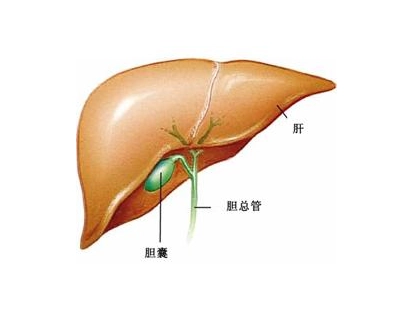 重庆中医肿瘤医院科普|胆囊癌的症状与体征