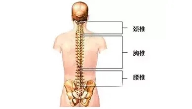 腰椎间盘患者的注意事项有哪些？重庆御和堂中医