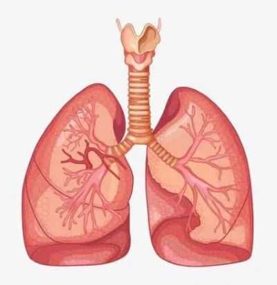 重庆御和堂案例|过去的4个月这个74岁的老奶奶一直在被折磨