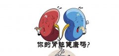 肾炎症有哪些